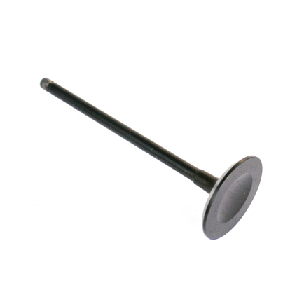 Клапан впускной CZC003 Addax-Q (фото №1)